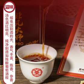 S009/2025 Liubao Tea Grandmaster PRO (80g)
